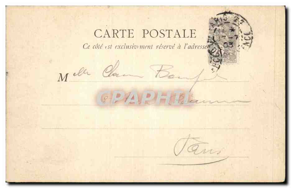 Paris - 5 - Cedres du Jardin des Plantes - - CPA  — Rückseite