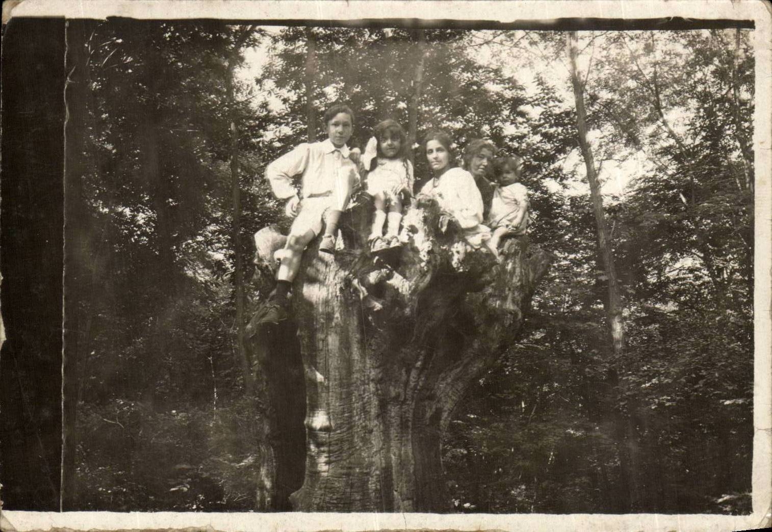 CARTE PHOTO Garche Paris Fantaisie - Enfant - children - tree house fun CPA Madame Gay et Max Gay 1917 Celli