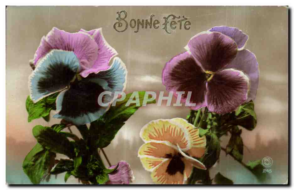 Fetes - Bonne Fete - Pensee - Pansy - CPA 