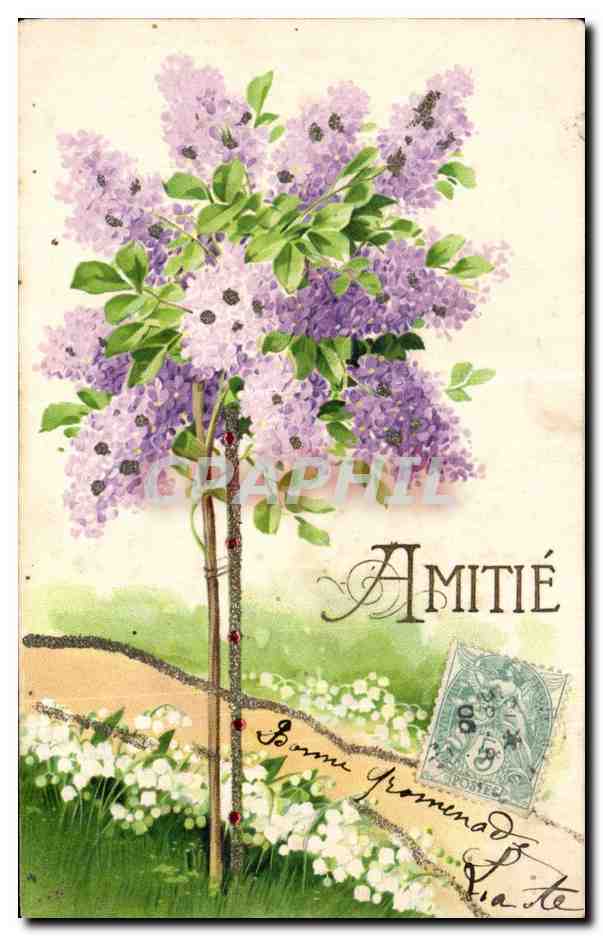 Lilas en fleurs — Amitié — Éditeur non identifié, n° de série non visible - Recto