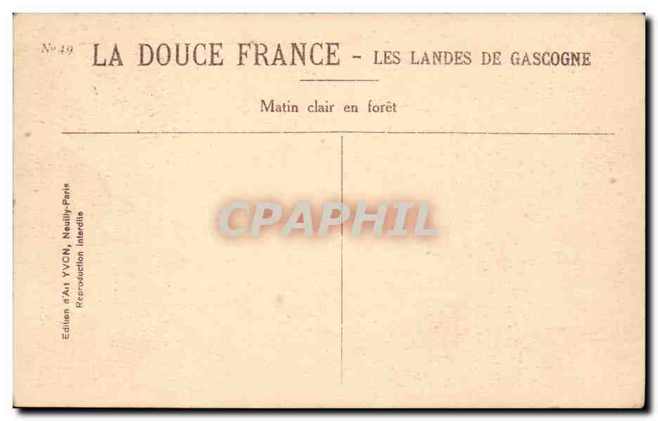 Les Landes de Gascogne — Matin clair en forêt — Yvon — Back