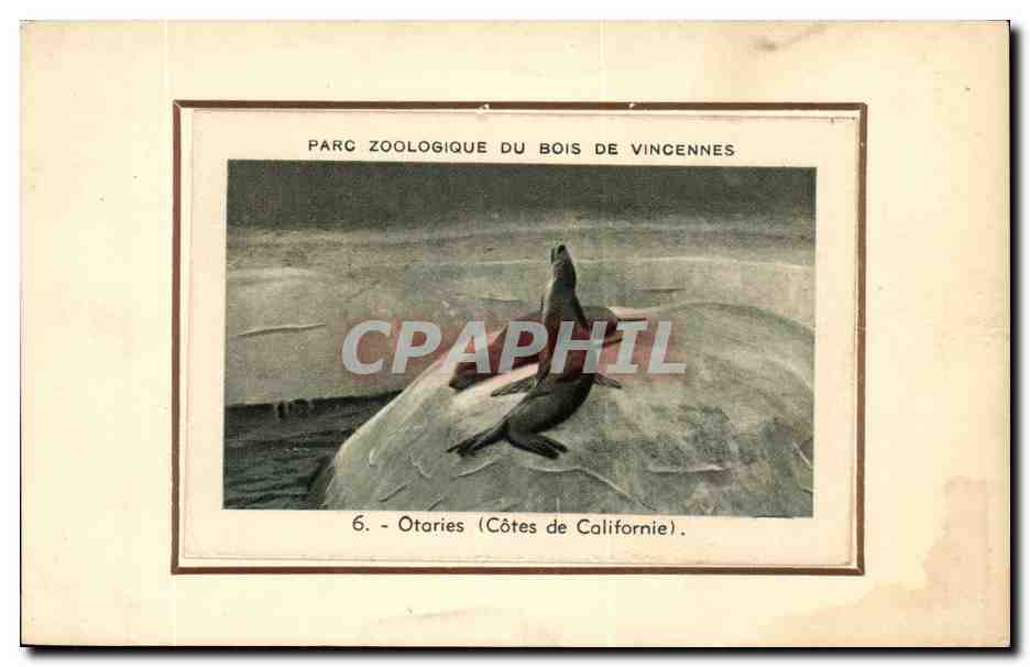 Paris - 12 - Bois de Vincennes - Parc Zoologique - Phoque - seal CPA 