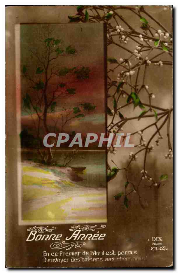 Fetes - Bonne Annee - houx - holly CPA 