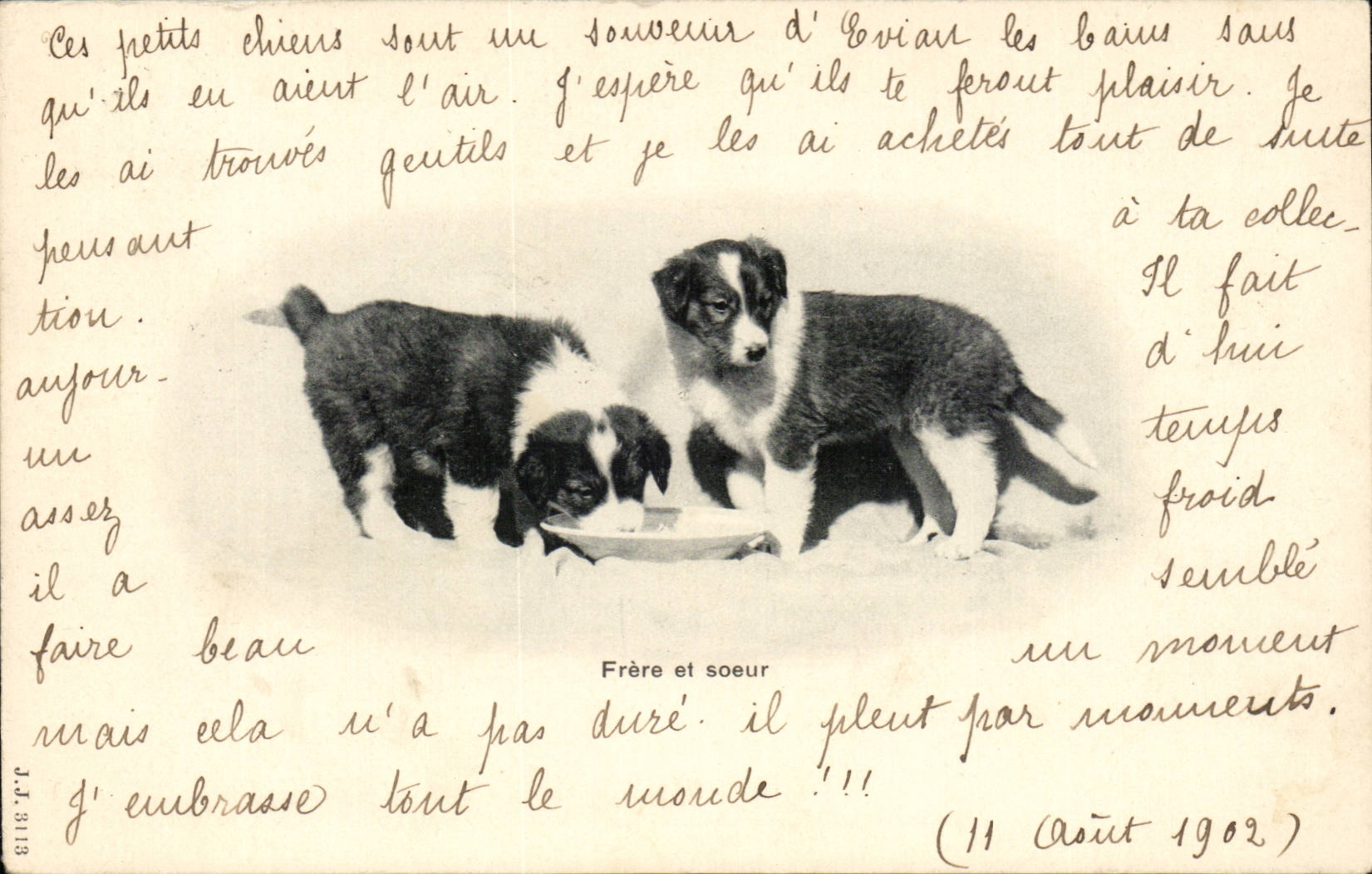 CPA Fantaisie Frere et soeur Chien Chiens Dog Dogs