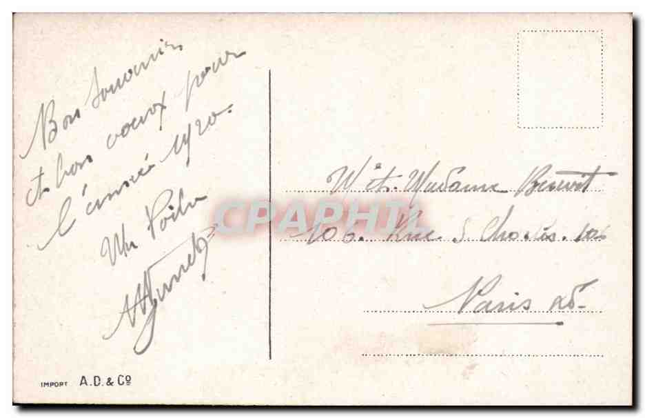 CPA Fantaisie Fleurs Roses Bonne annee — Verso
