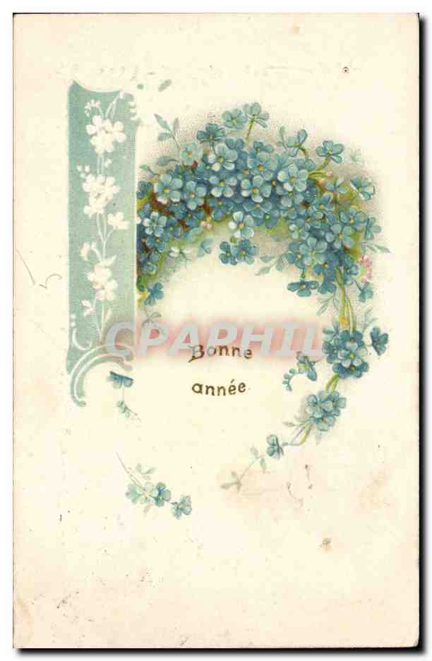 CPA Fantaisie Fleurs Bonne annee