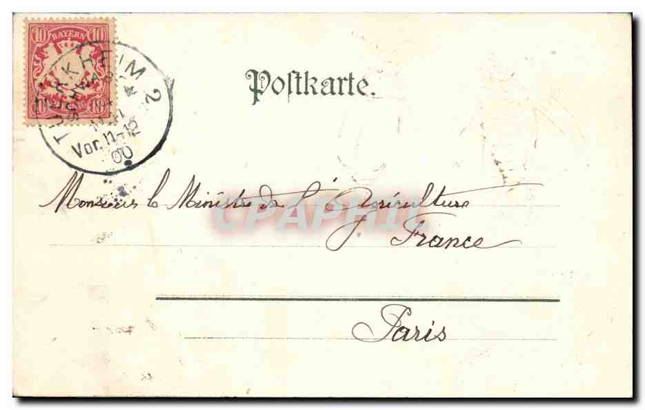 CPA Fantaisie Insect Insectes Maigruss Doriphore — Rückseite