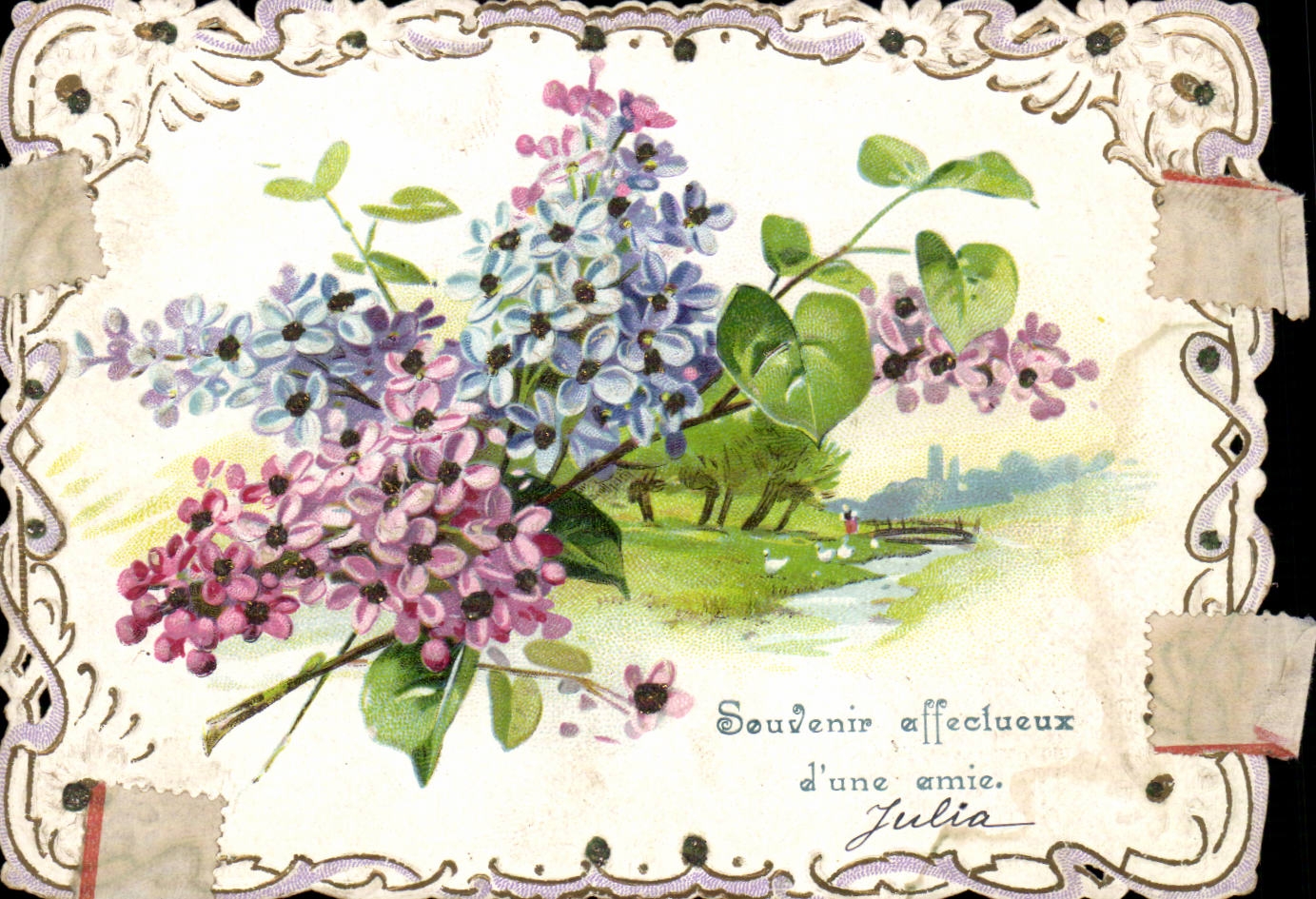 Bouquet de lilas — Souvenir affectueux d'une amie. Julia