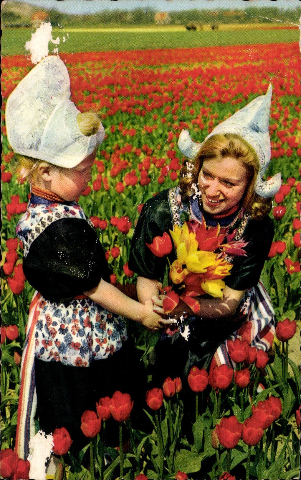 CPA Fantaisie La Hollande en parures de fleurs