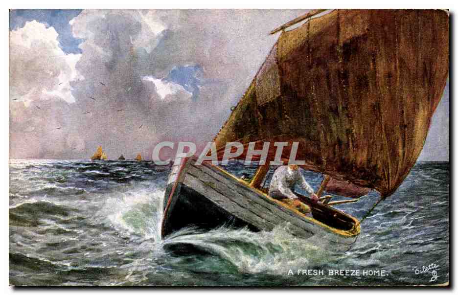 Bateau à voile — A Fresh Breeze Home — Oilette, série 11, Tuck's Post Card