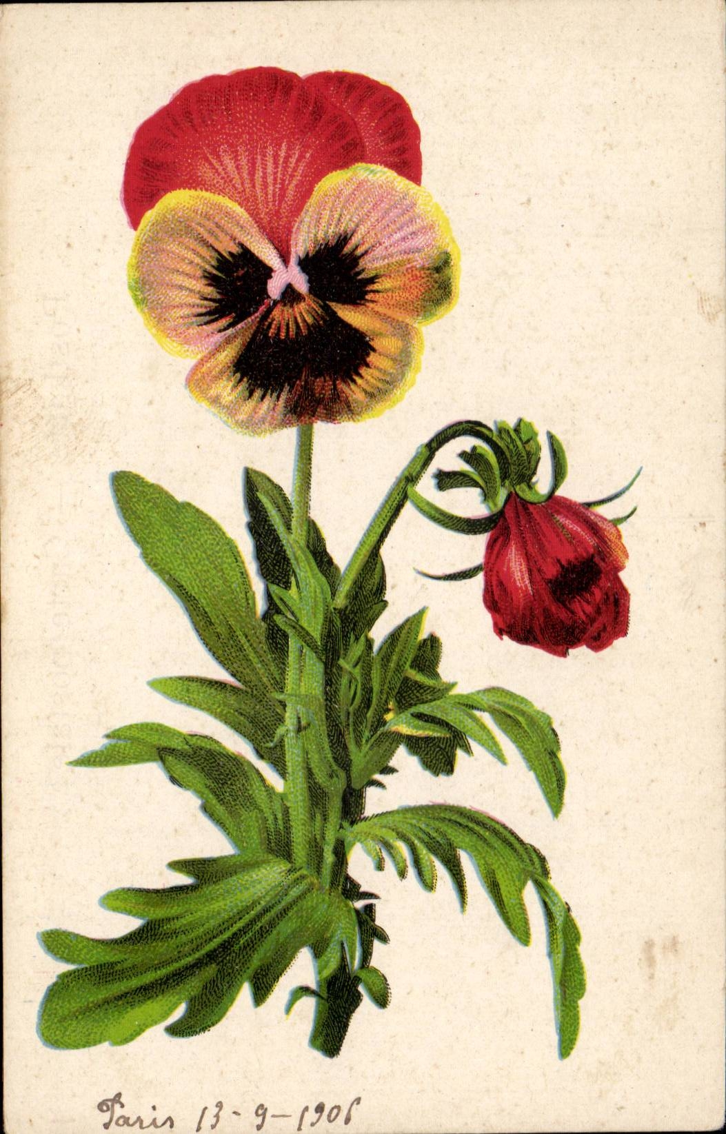 CPA Fantaisie Fleurs