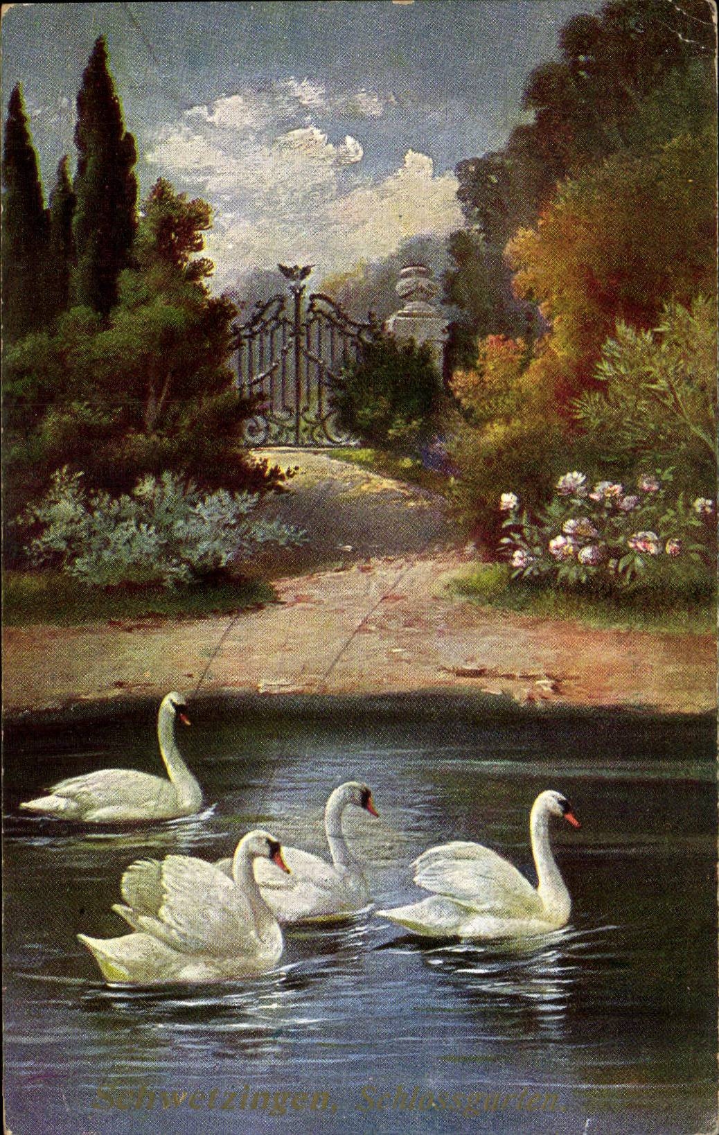 CPA Fantaisie Cygne Cygnes Swan
