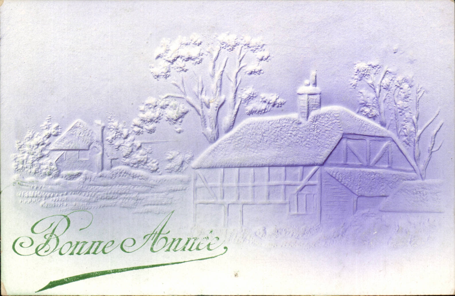 CPA Fantaisie Maison Bonne annee ( en relief ) 