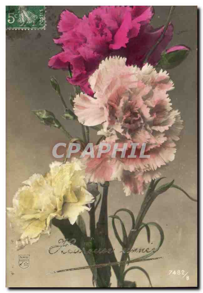 CPA Fantaisie Fleurs Heureuse annee