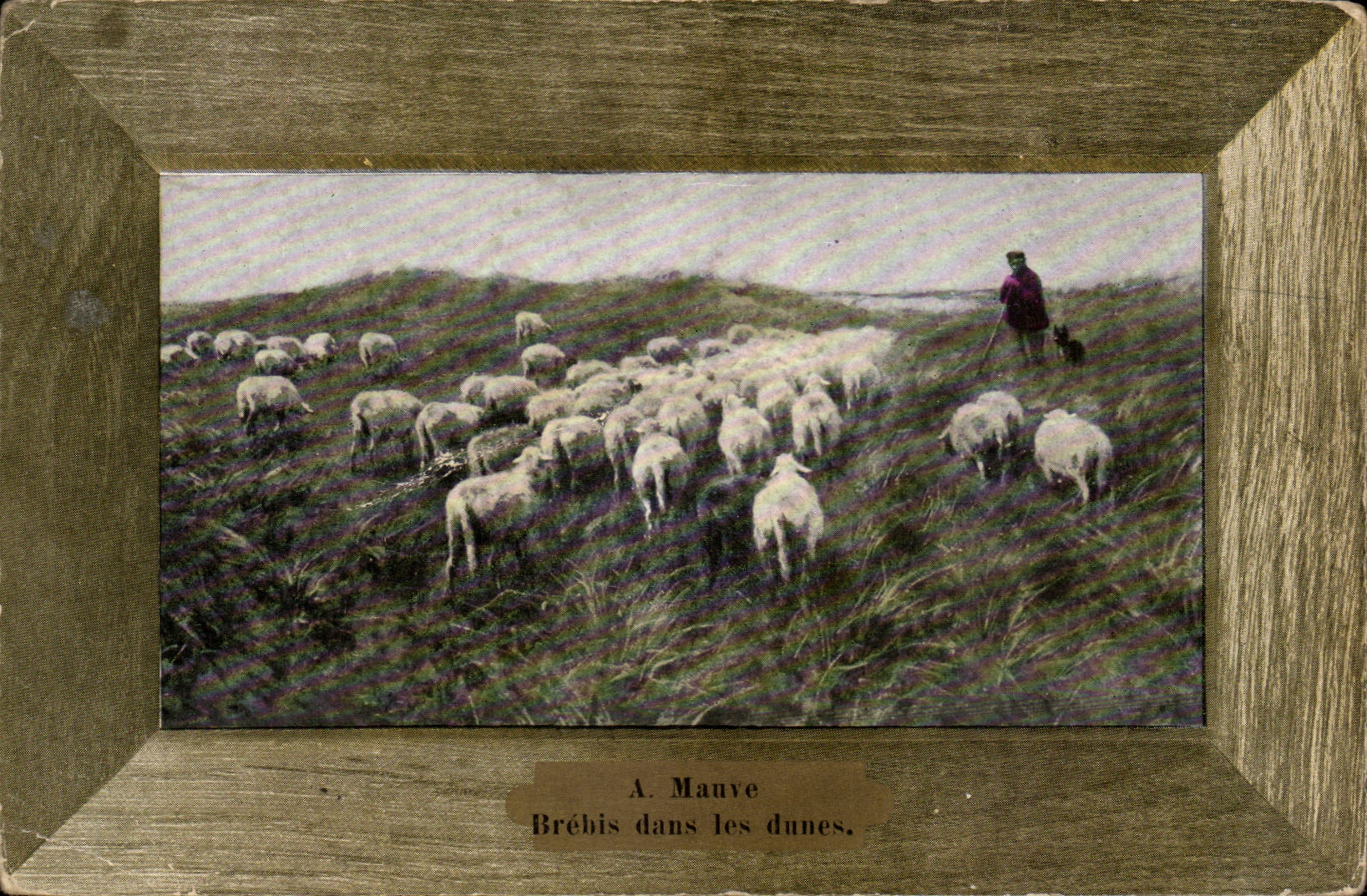 CPA Fantaisie A Mauve Brebis dans les dunes ( mouton moutons )
