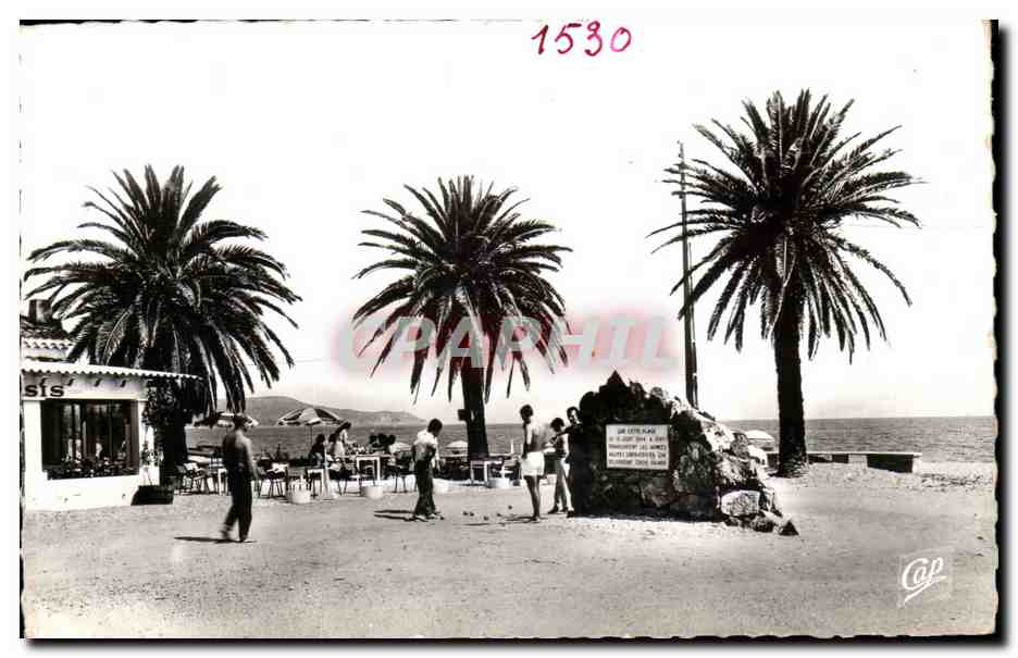 CPM Environs de Cavalaire sur Mer Le rond point de la plage de PArdigon