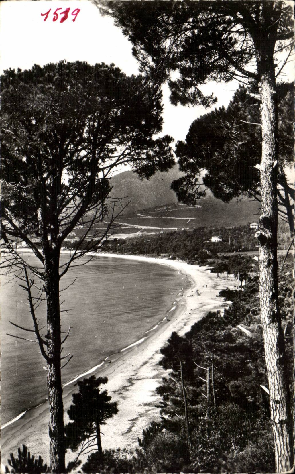 CPM Environs de Cavalaire sur Mer La plage de PArdigon