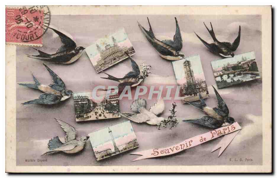 Paris CPA Souvenir Hirondelles