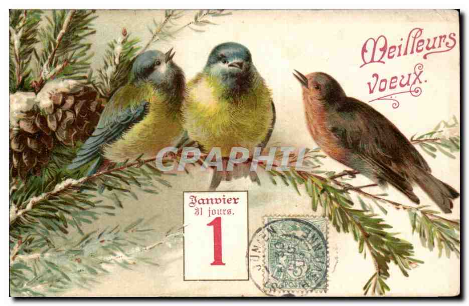 CPA Fantaisie Meilleurs Voeux Oiseaux