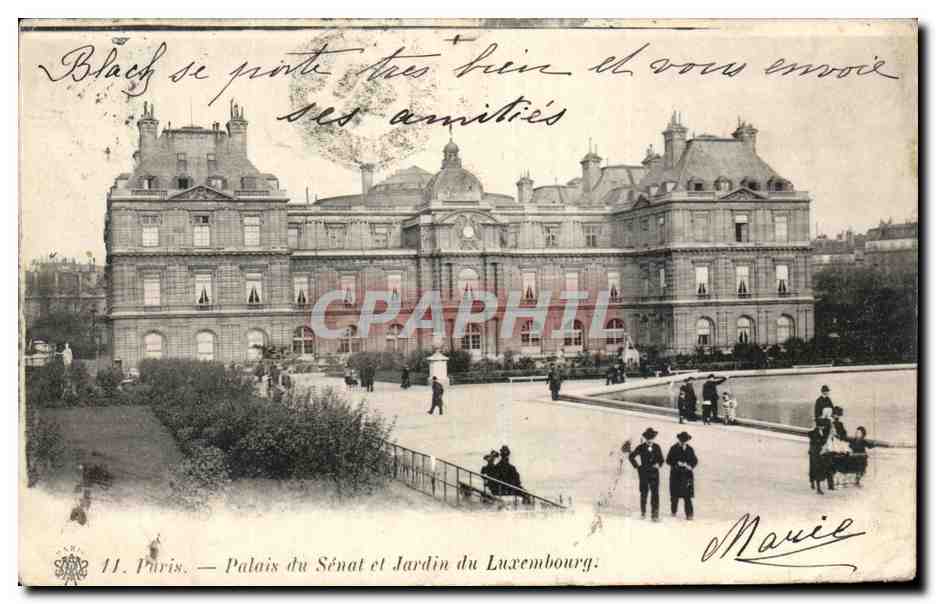 CPA Paris Palais du Senat et Jardin du Luxembourg