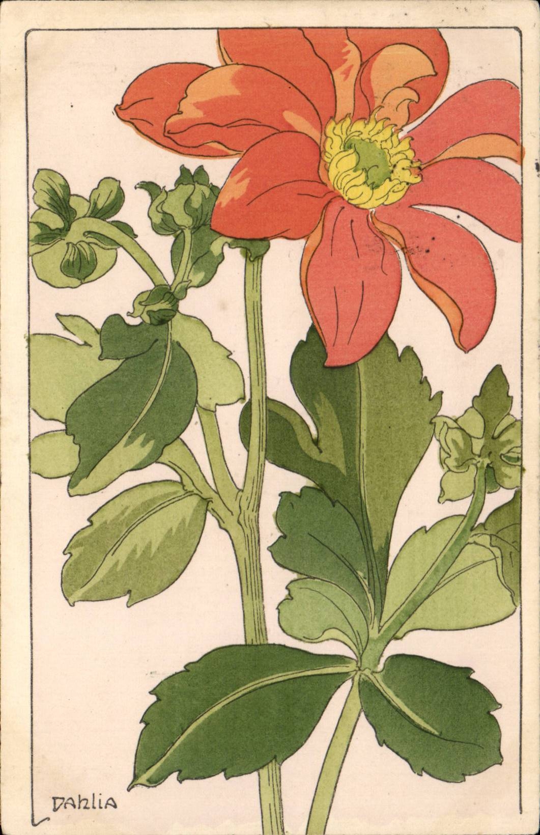 CPA Fantaisie Fleurs Dahlia