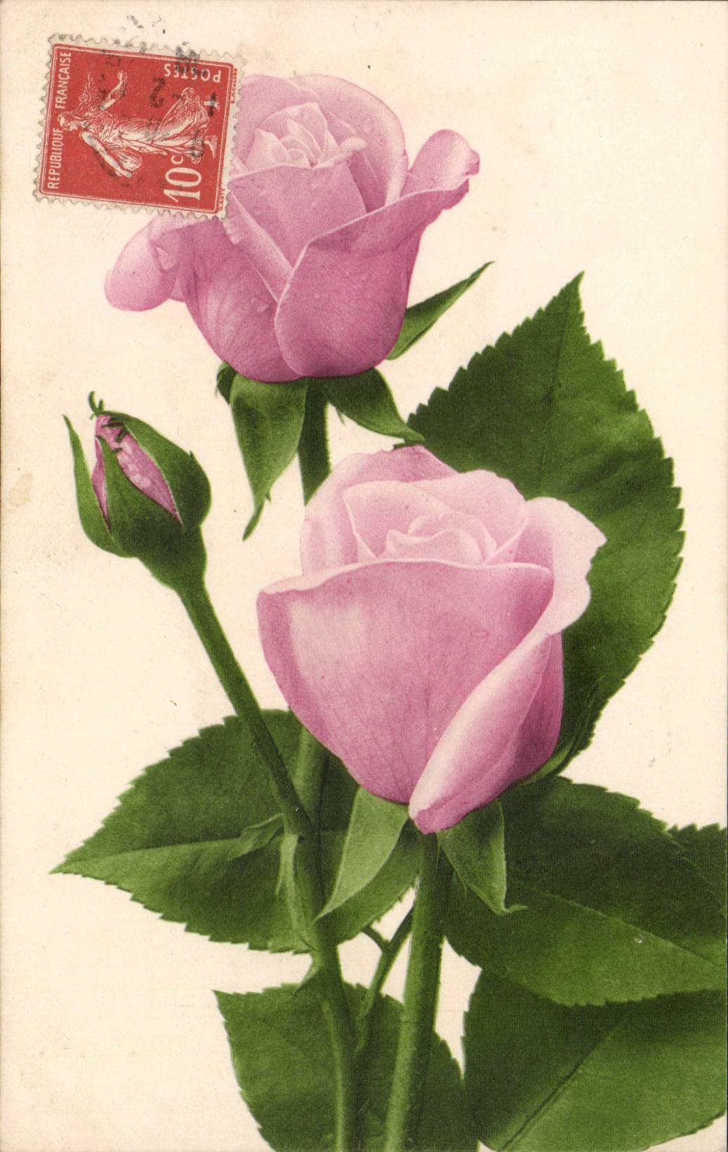 CPA Fantaisie Fleur Rose