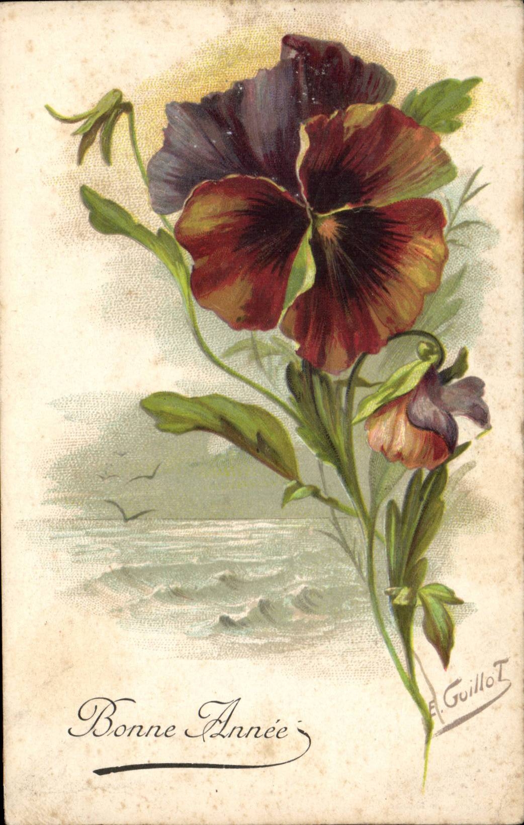 Pansée — Bonne Année — A. Guillot