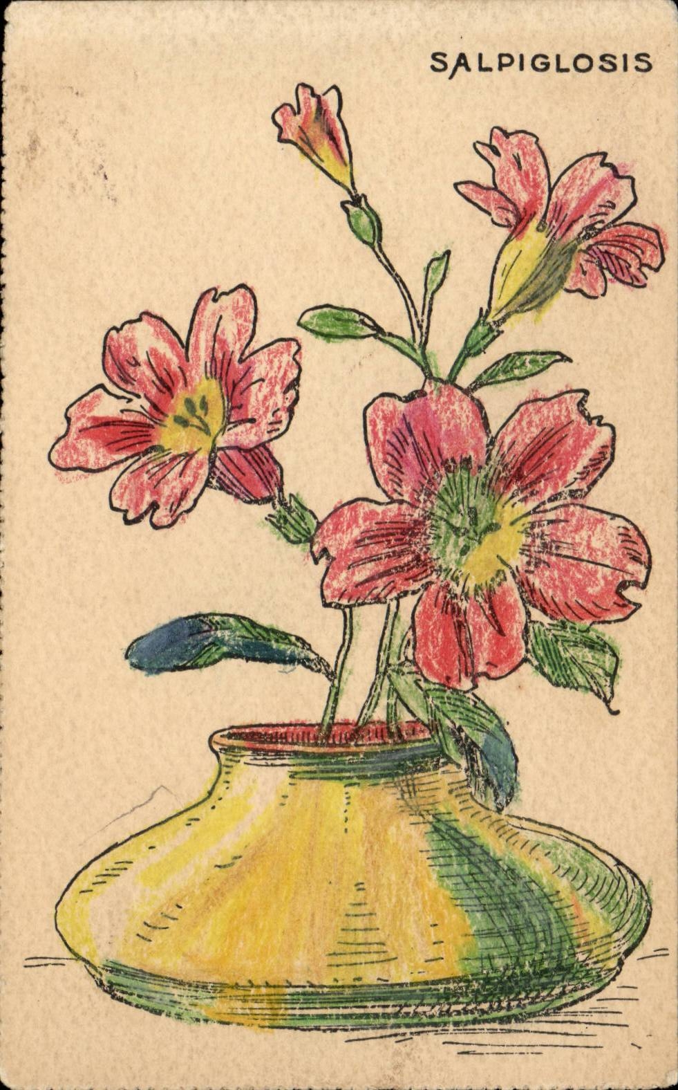 CPA Fantaisie Fleurs Salpiglosis