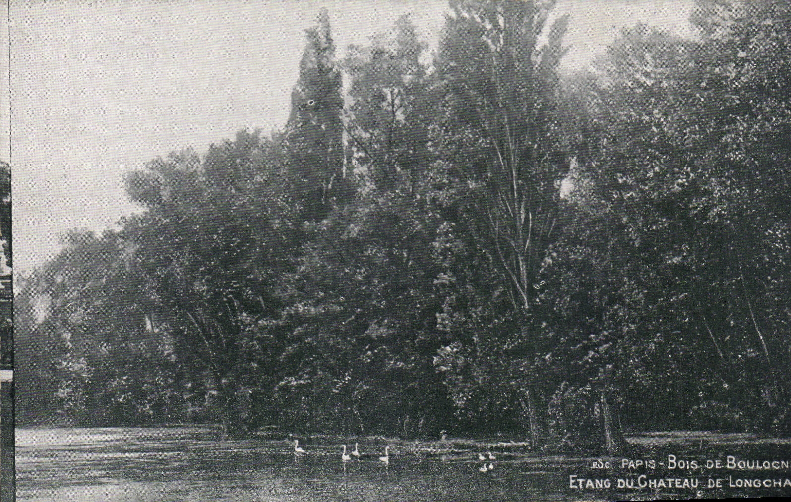 Paris CPA Bois de Boulogne Etang du chateau de longchamp