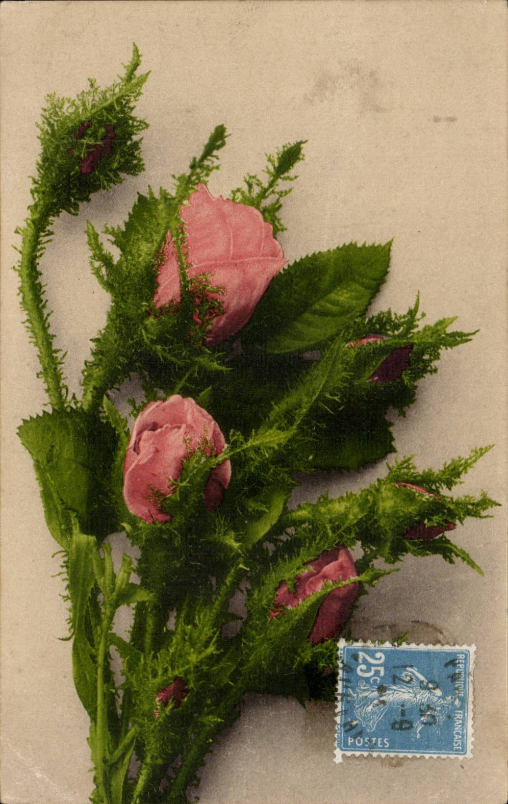 CPA Fantaisie Plante