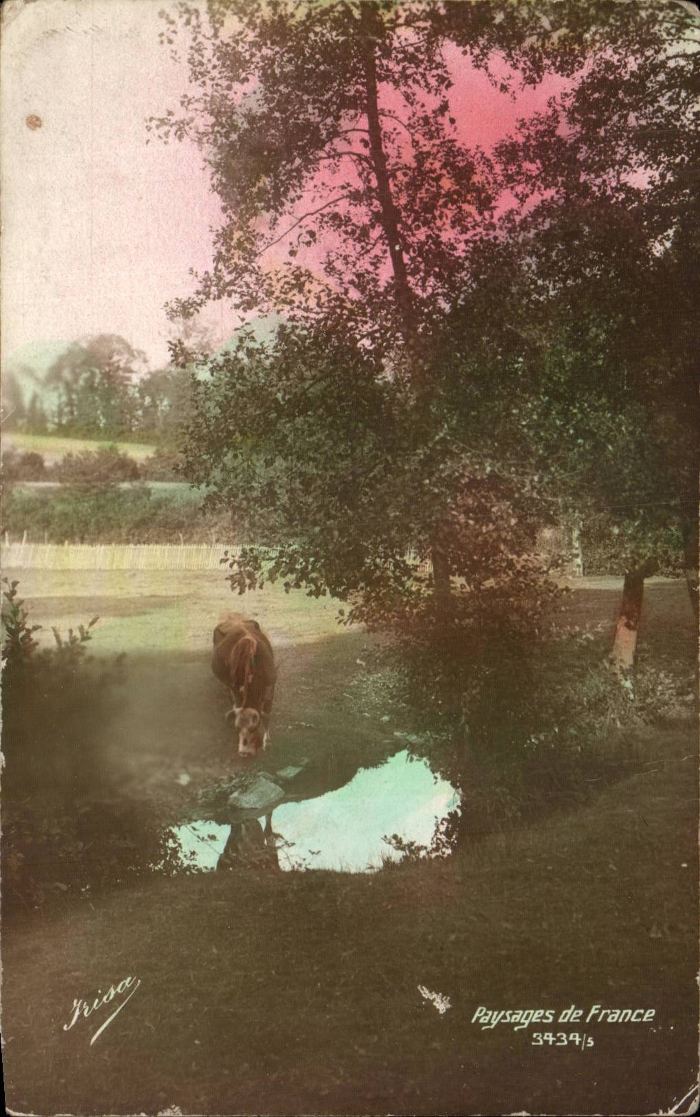 CPA PAysage de France ( vache )