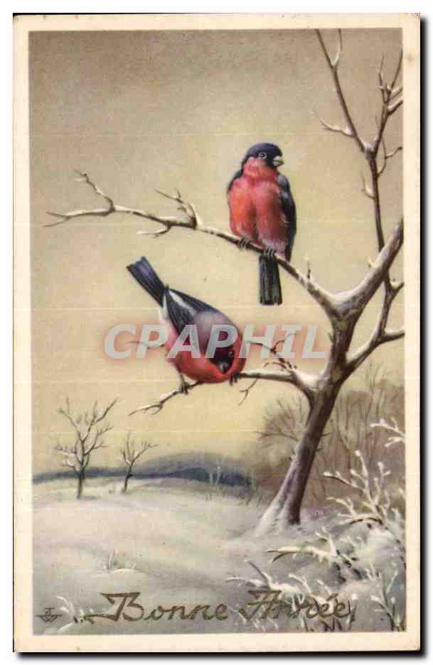 CPA Fantaisie Oiseaux Bonne annee