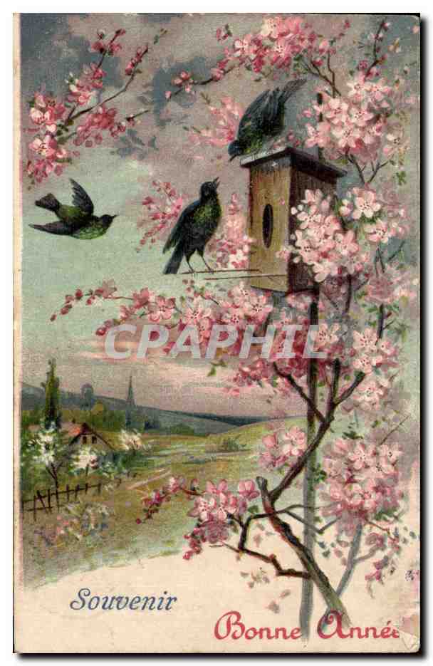 CPA Souvenir Bonne annee Fleurs Oiseaux