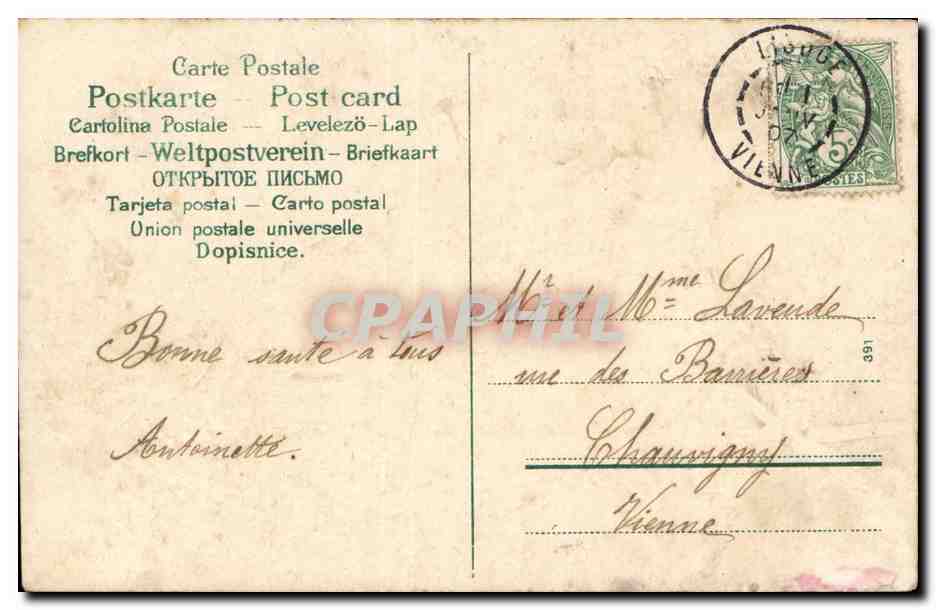 CPA Souvenir Bonne annee Fleurs Oiseaux — Rückseite