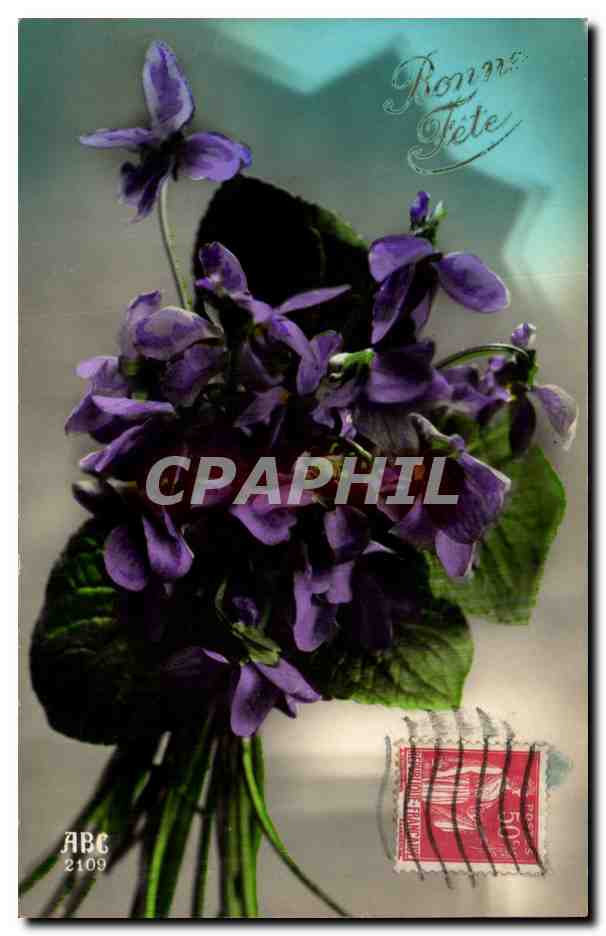 CPA Fantaisie Fleurs Bonne fete