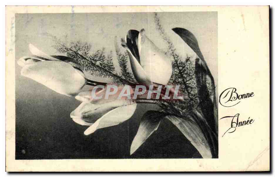CPA Fantaisie Fleurs Bonne annee