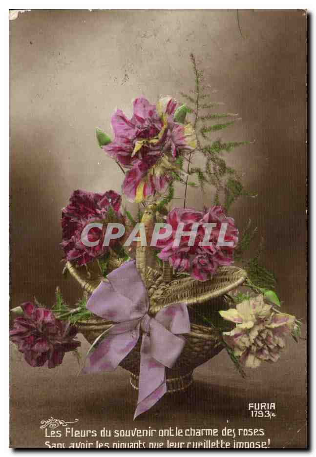CPA Fantaisie Fleurs Furia