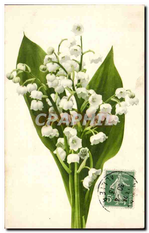 CPA Fantaisie Muguet