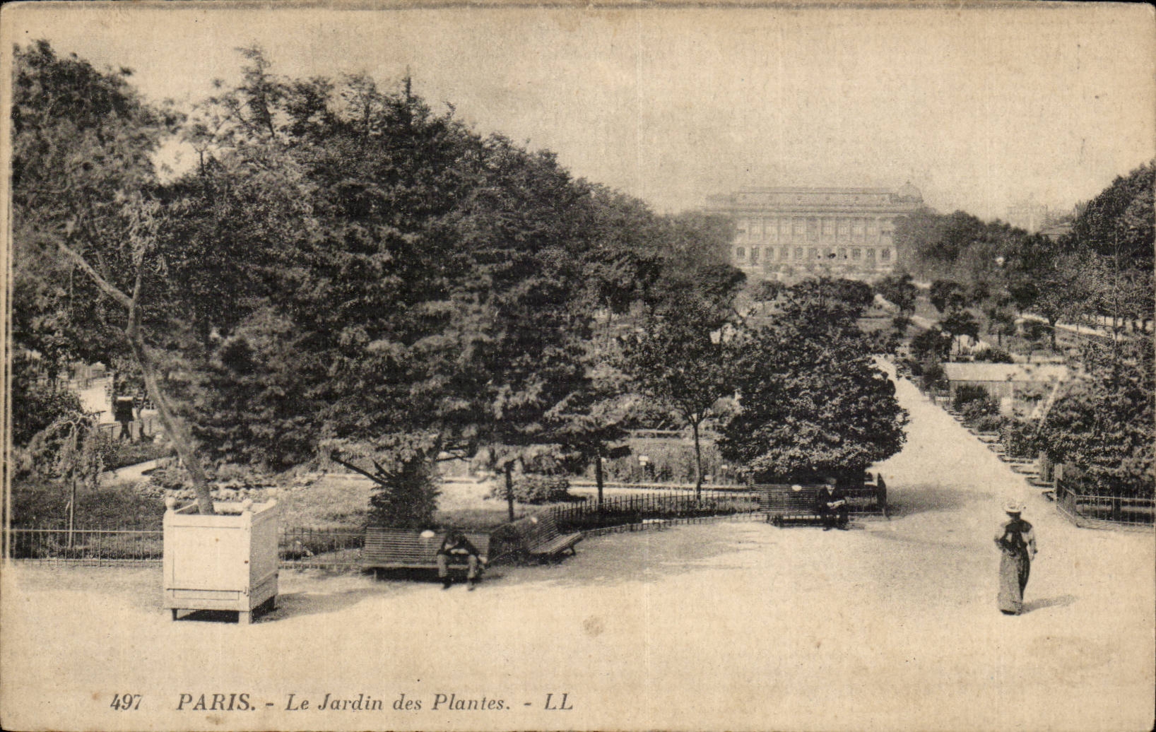 Paris CPA Le jardin des plantes