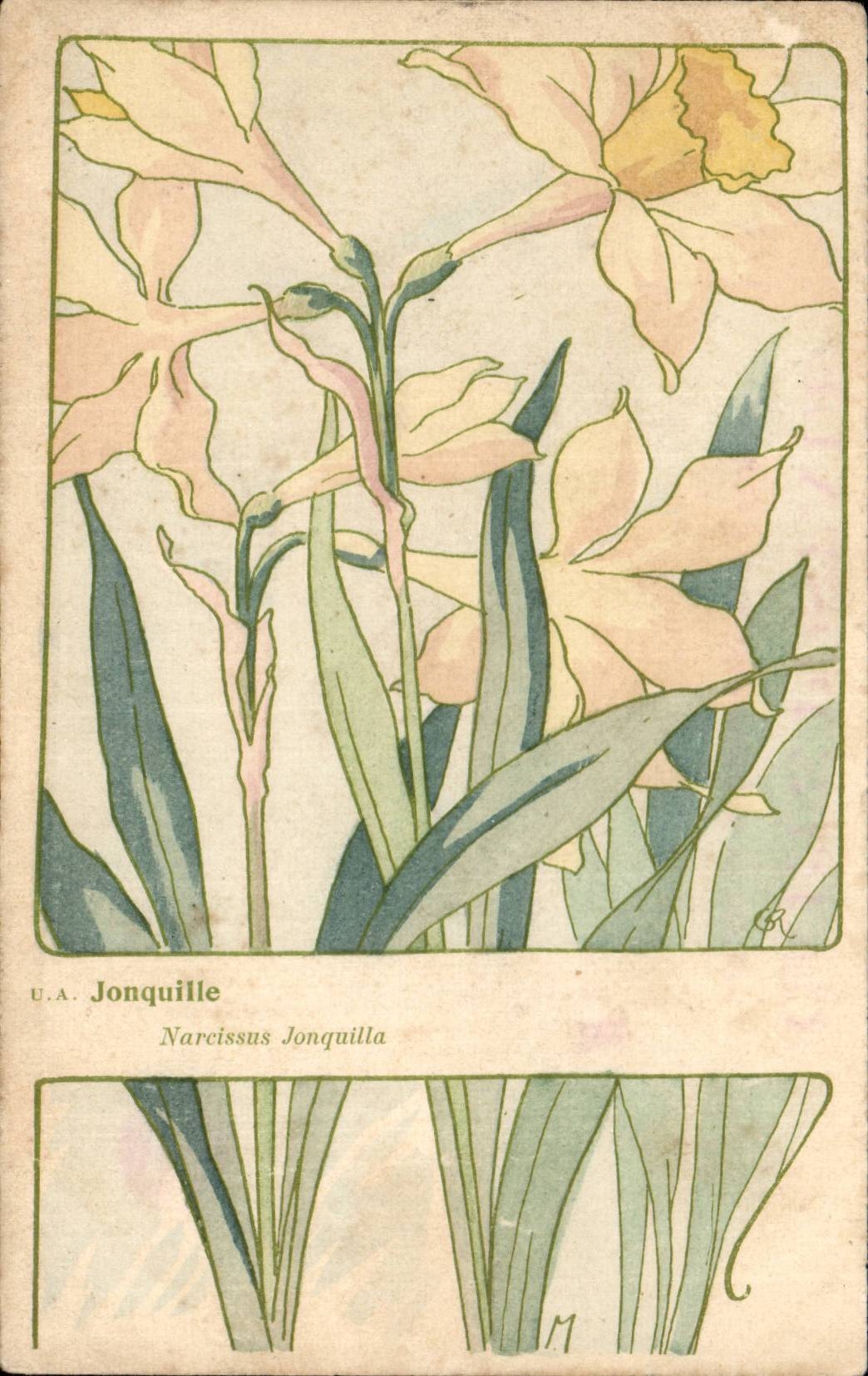 CPA Fantaisie Fleurs Jonquille Narcissus Jonquilla