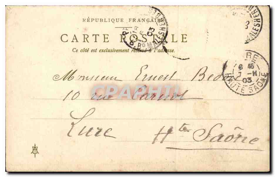 CPA Fantaisie Fleurs Jonquille Narcissus Jonquilla — Back
