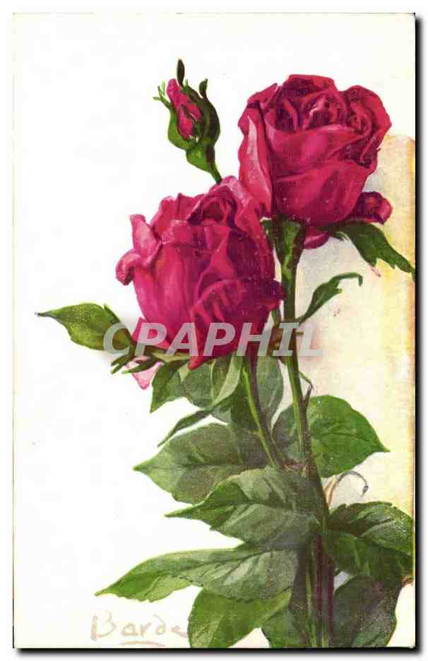 CPA Fantaisie Fleur Rose