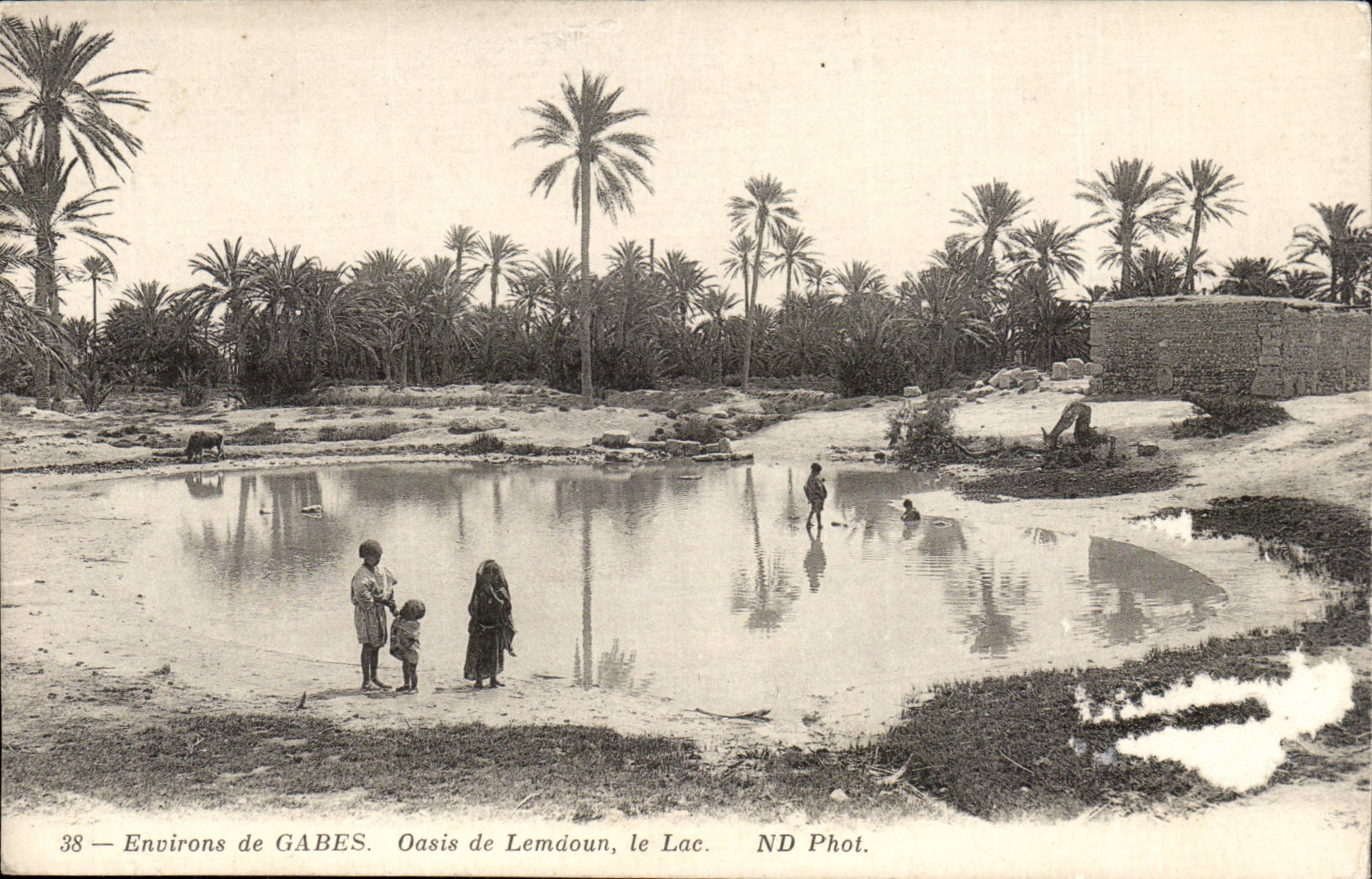 Tunisie Environs de Gabes CPA Oasis de Lemboun le lac