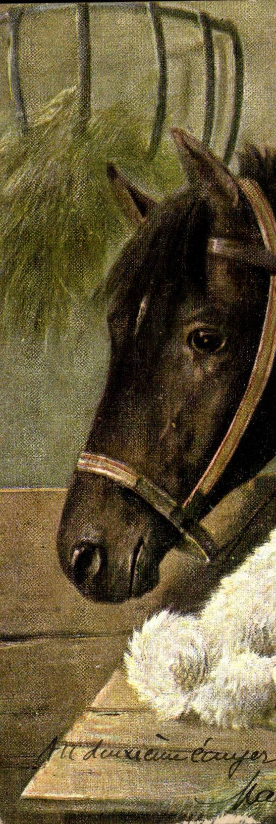CPA Cheval et chien dog horse