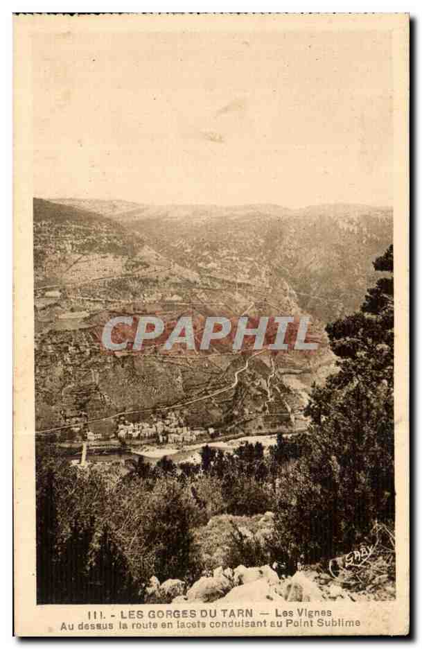 CPA Gorges du Tarn Les vignes au dessus en lacets conduisant au point sublime 