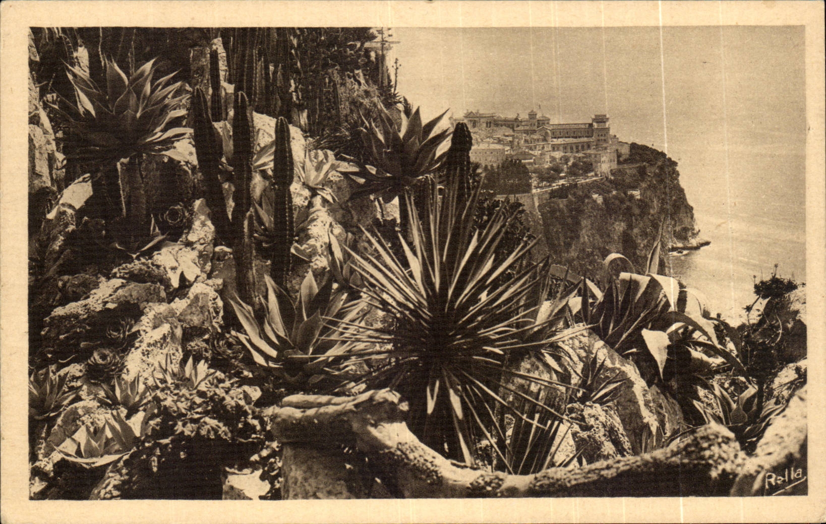 CPA Monte Carlo les jardins exotiques et le rocher de Monaco