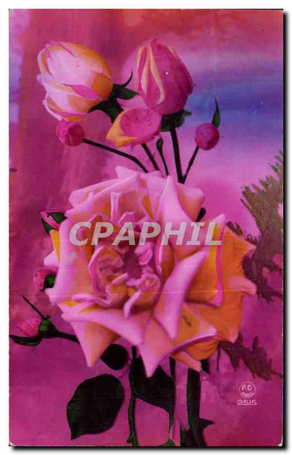 CPA Fantaisie Fleurs Roses