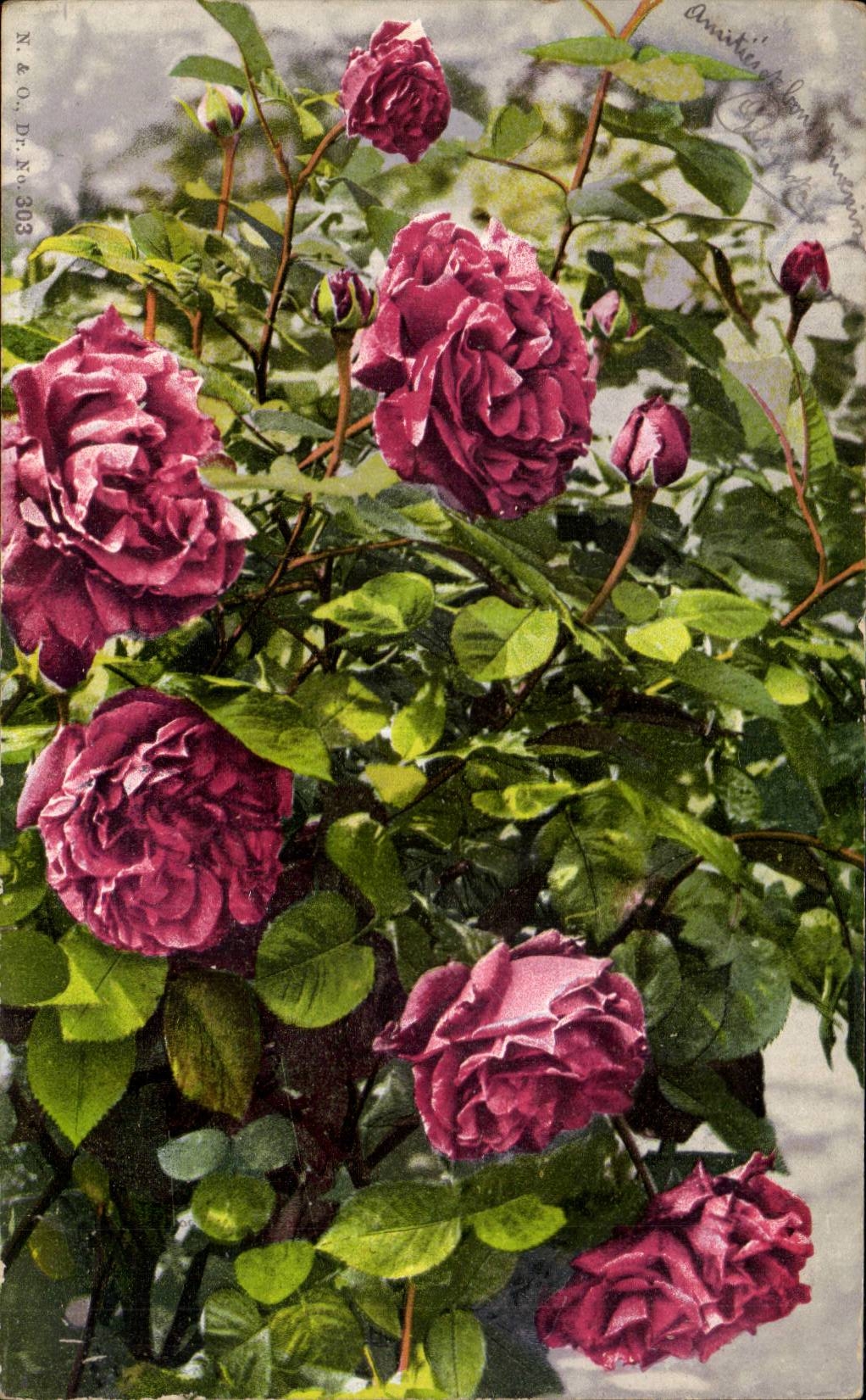 CPA Fantaisie Fleurs Roses