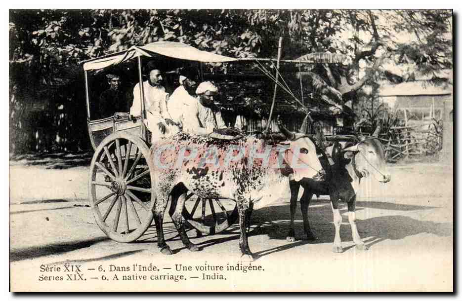 CPA Inde India Une voiture indigene ( boeufs ) TOP