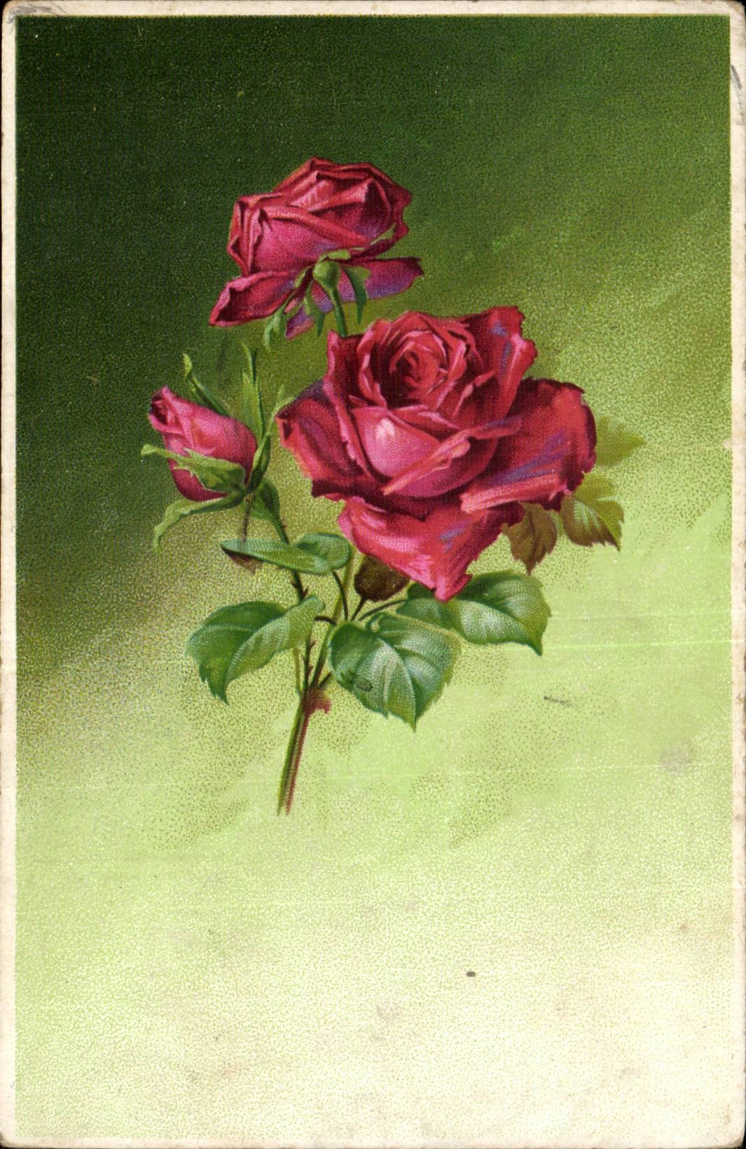 CPA Fantaisie Fleurs Rose